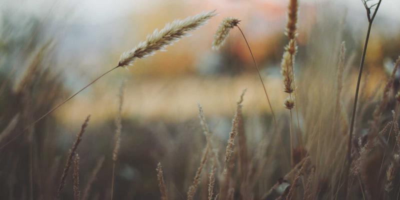 2024年轻奢礼品指南：蒸汽波风格与创意设计的个性化礼物精选