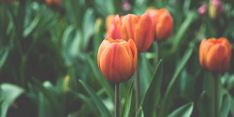 创意设计礼物的极简美学：以少胜多的日常时尚礼品推荐