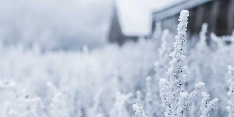 橙色主题个性化礼物新宠：菌丝皮革与藻类材料的先锋设计配饰