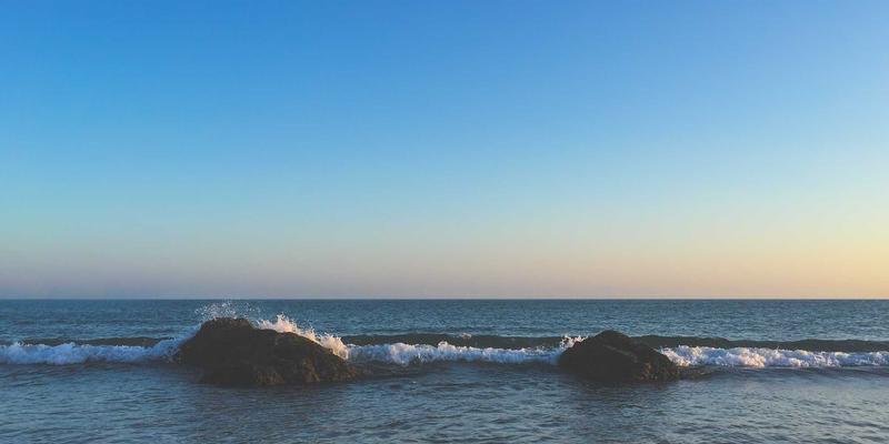 橙色主题时尚礼品新风尚：可食用花礼的奢侈化定制指南