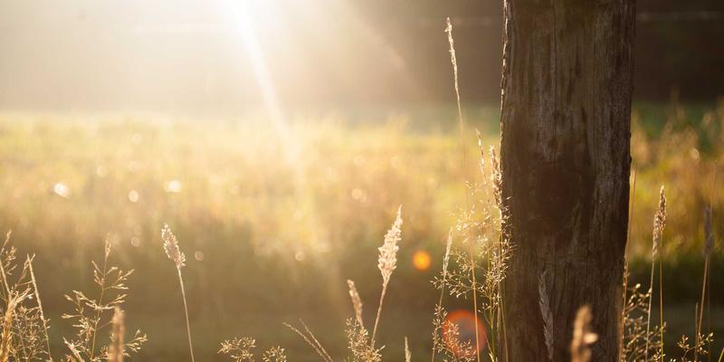 橙色主题时尚礼品：用活力色彩点亮个性化赠礼艺术