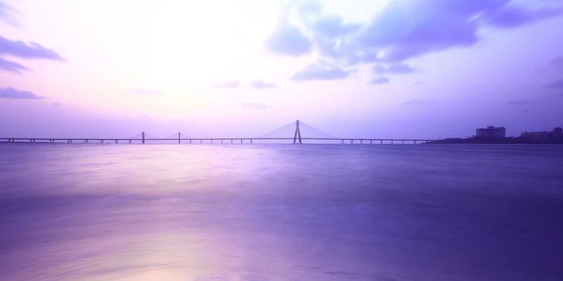 生物材料创新应用：菌丝体皮革等前沿环保时尚礼品探析