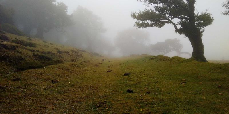 蒸汽波橙光:用复古未来感礼物点燃节日惊喜
