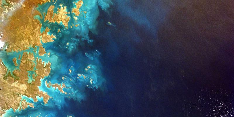 蒸汽波美学与创意设计：打造高颜值个性化宠物周边礼品指南