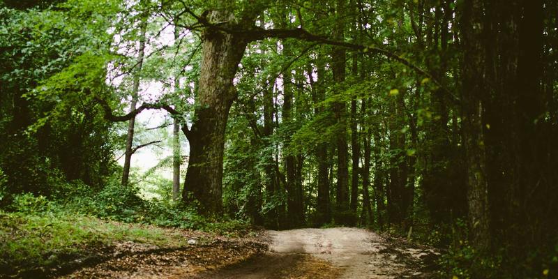 蒸汽波美学与橙色灵感：兼具功能与设计感的露营徒步时尚礼品指南