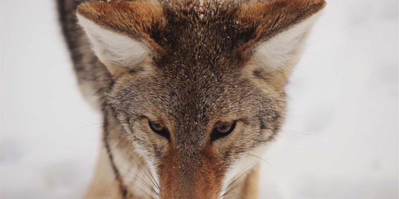 蒸汽波风格与创意设计：探索复古未来主义时尚礼品的独特魅力