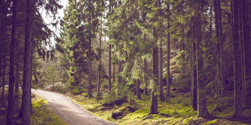 蒸汽波风格与橙色主题：打造个性化时尚礼品98的终极指南